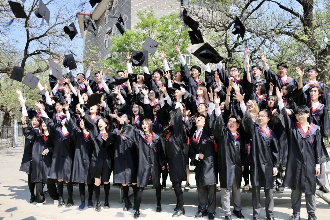 领科北京“联姻”青苗海淀共育跨品牌合作新风潮