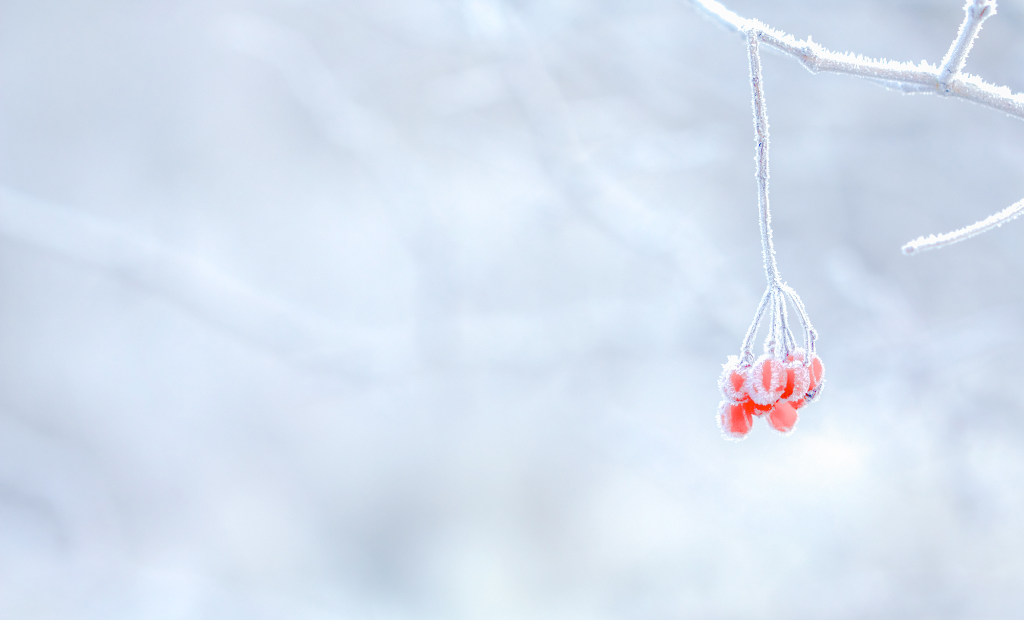 十大免费图片素材网站,小众好用的图片素材网站