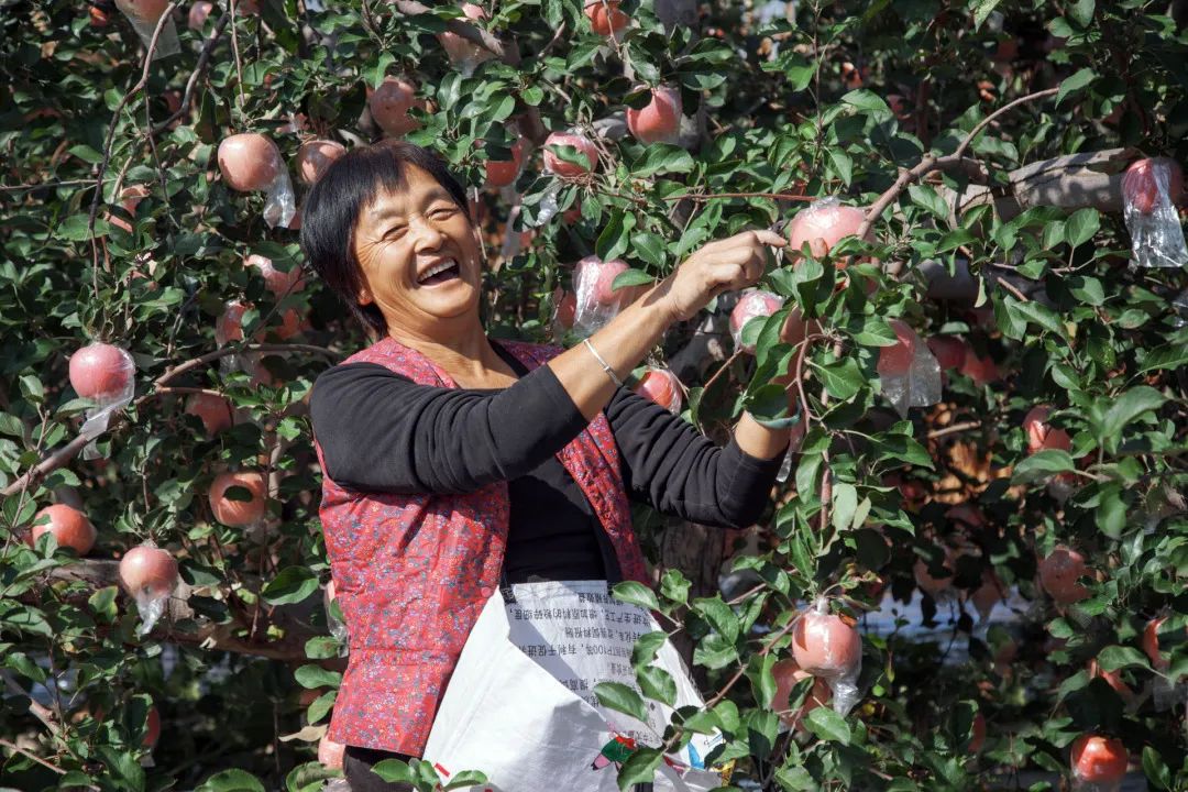 迎接党的20大美术作品,喜迎二十大乡村摄影展