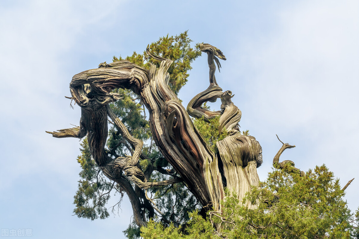 西游记里的妖魔鬼怪有多少个,西游记里的妖魔鬼怪