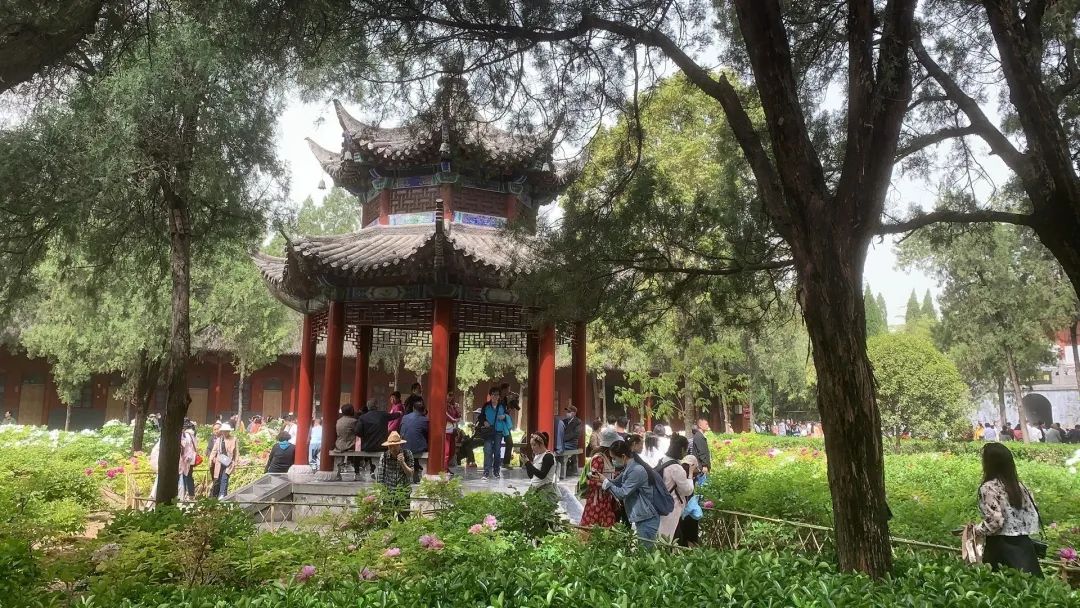 设计知旅第64期丨郑在洛地：设计师职业探索走进神都洛阳