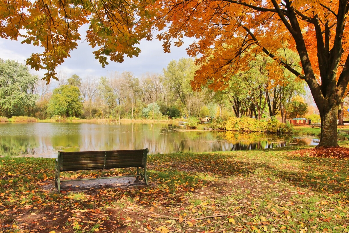 成年人提高自信心的诀窍，十有八九没人知道，珍惜收藏