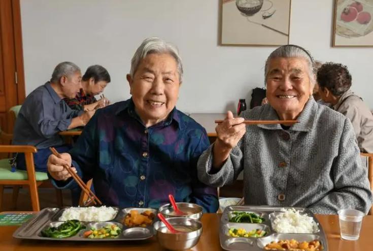 日本养老服务现状及保险业举措,日本养老产业发展政治政策