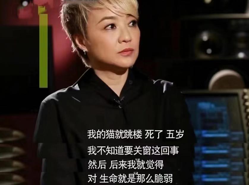 梅艳芳陈慧娴谁最好听,梅艳芳和陈慧娴的歌对比