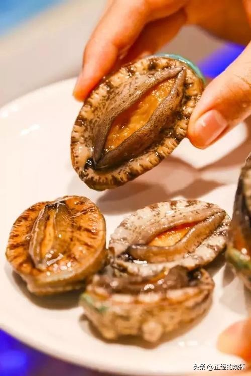 鲍鱼分布在哪里,鲍鱼由哪些部分组成的