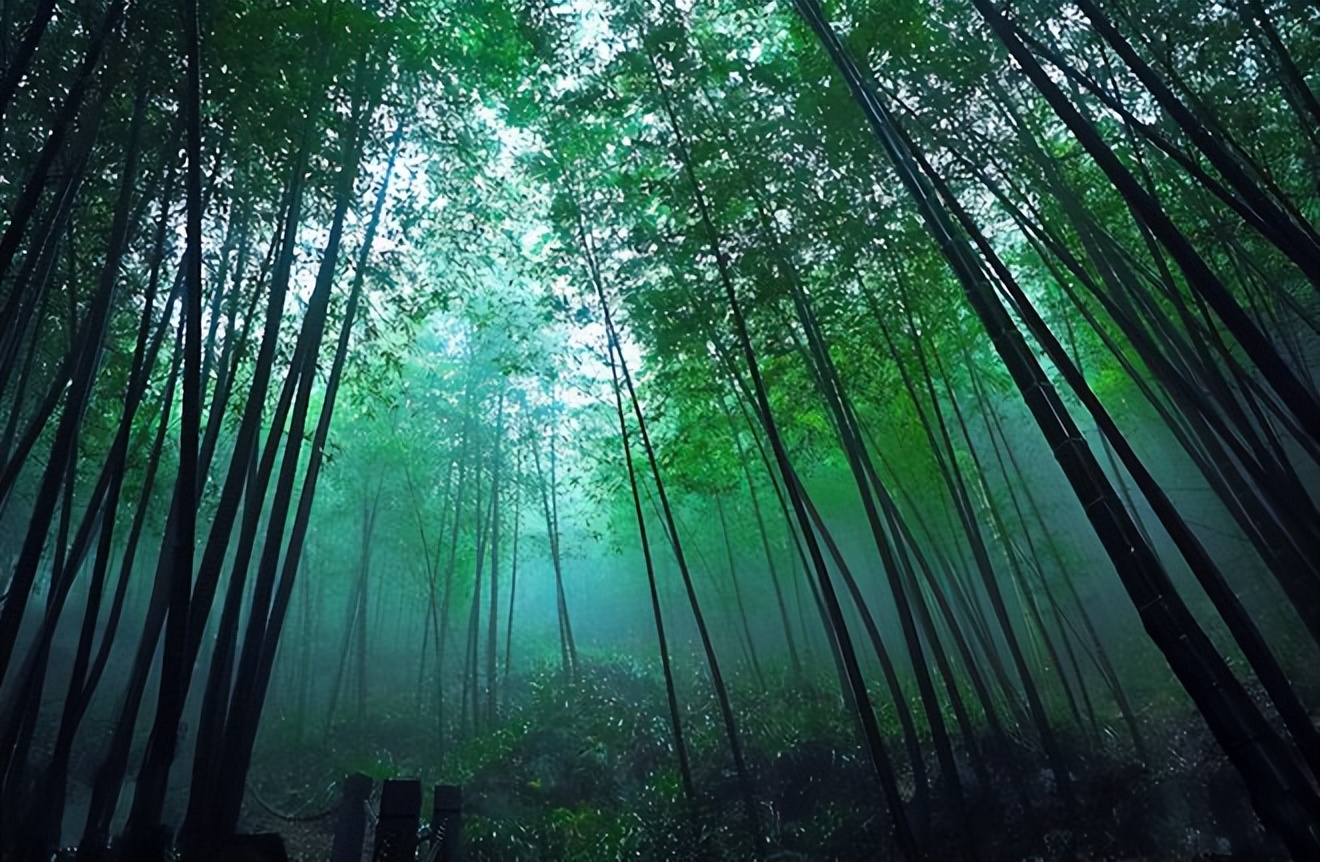 4月暖和自驾游适合去的地方,这个季节适合去哪旅游自驾