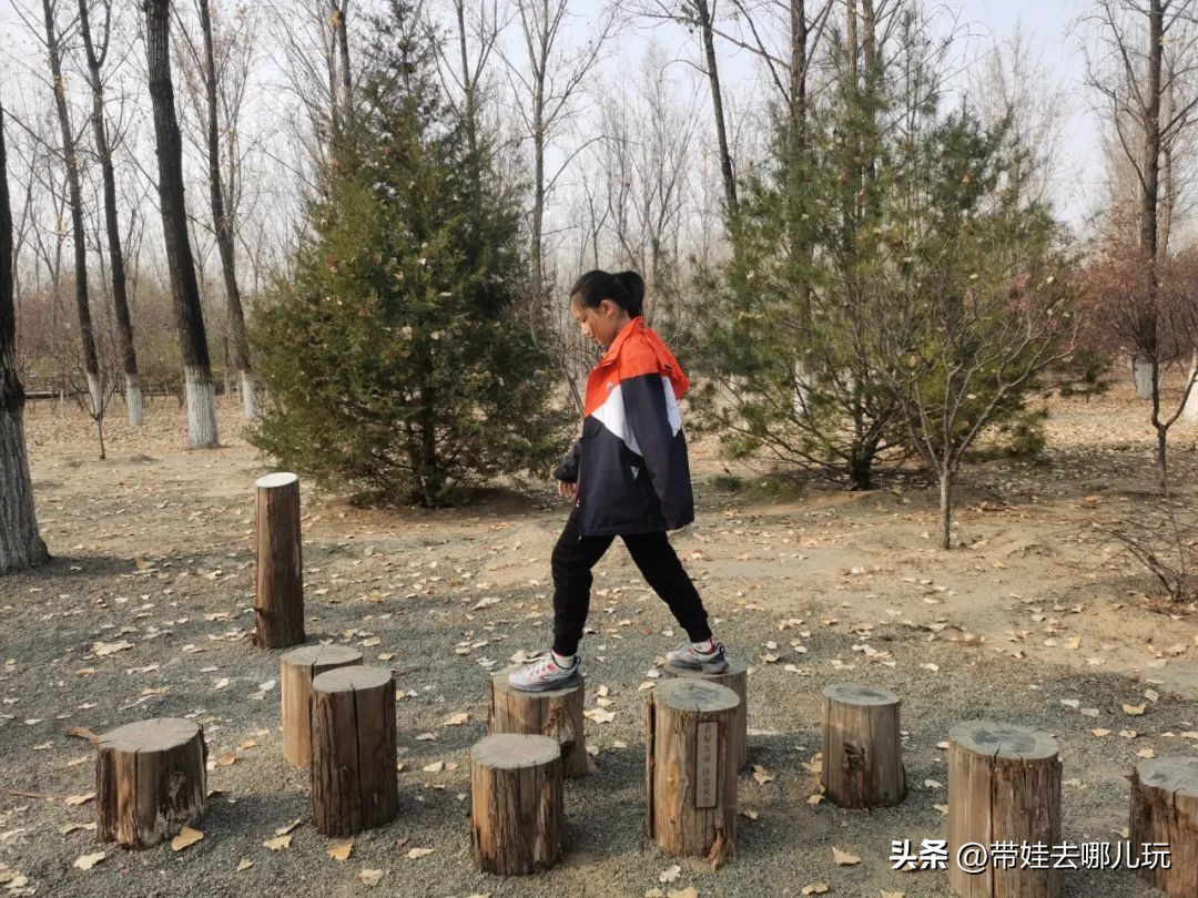 骑行国家森林公园,徒步骑行森林公园