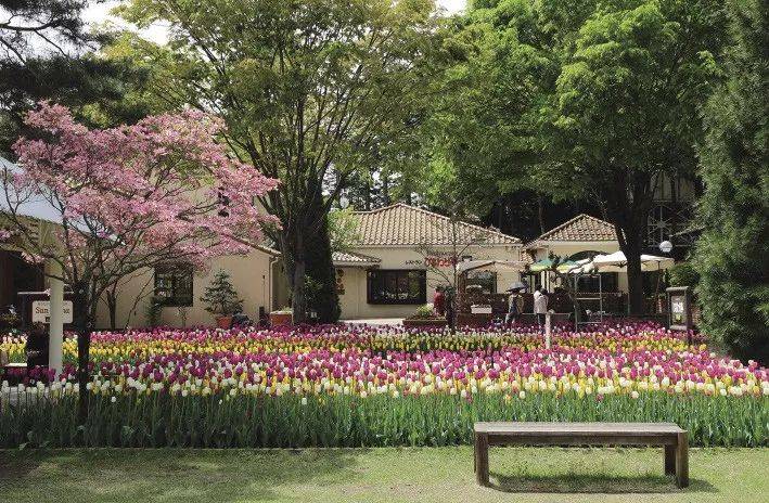 疫情导致的广告行业倒闭的有多少,疫情影响下的广告行业还好吗