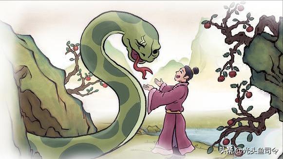 缅甸蟒长大后的天敌除了人有哪些,缅甸蟒喜欢什么样栖息环境