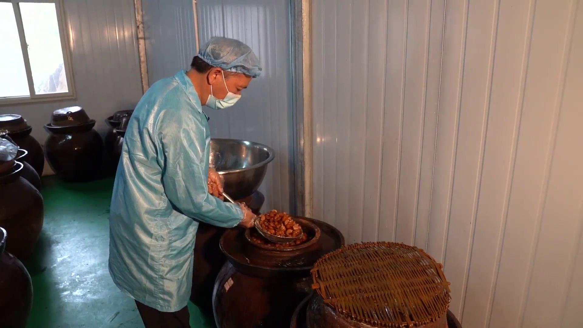 黄土种植的七彩辣椒好不好,种七彩辣椒利润