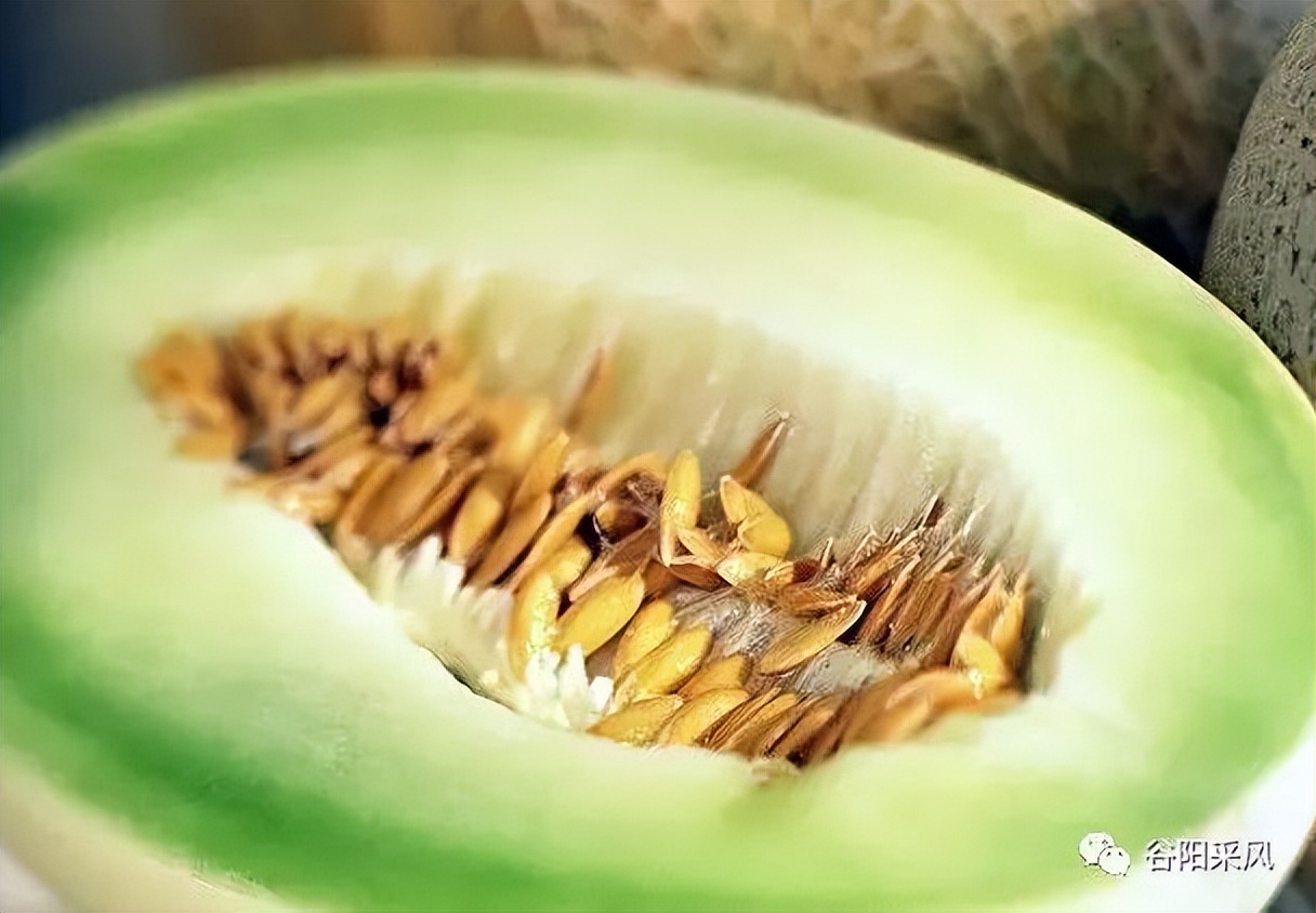 固镇美味香喷喷的小香瓜,话说固镇之722）