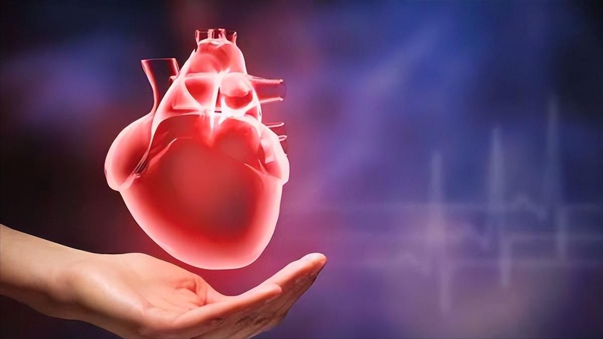 心肌修复与再生,修复心脏的最好方法