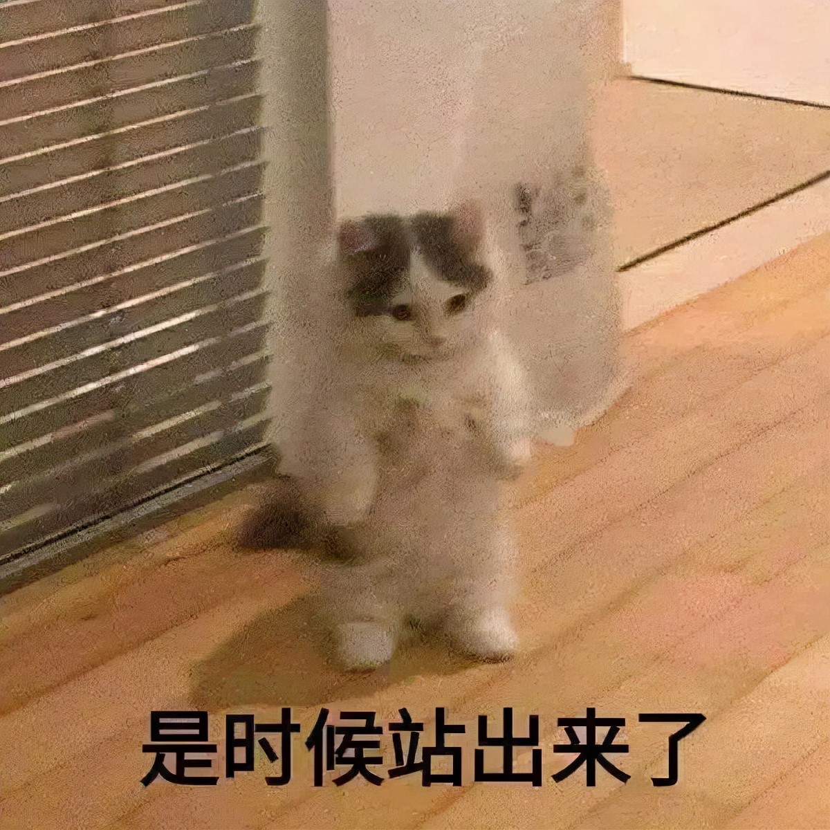 臻颜胶原蛋白,中科臻颜清有效果没