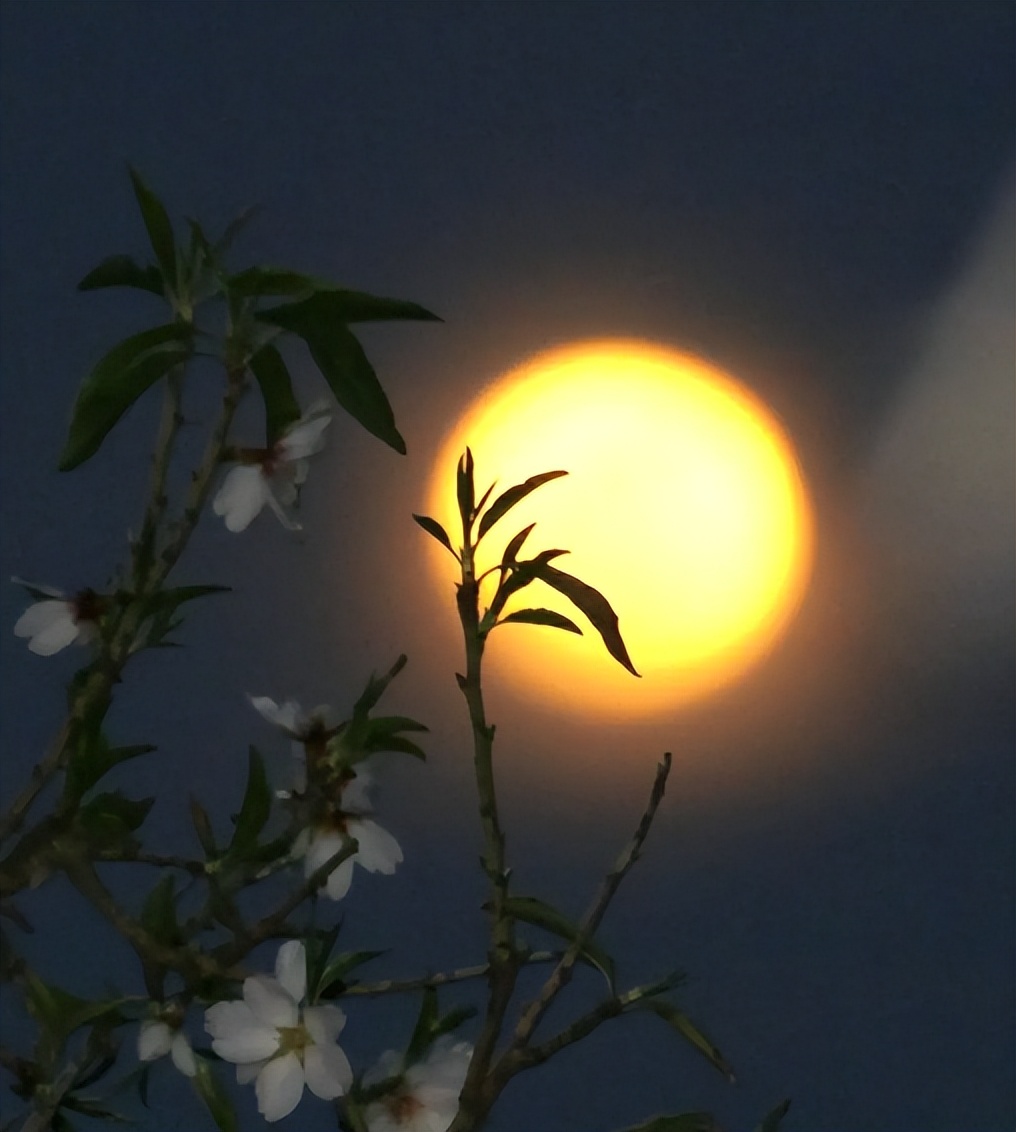 最是新秋好时光，有关新秋的诗词，在诗词里欣赏新秋的美景！​