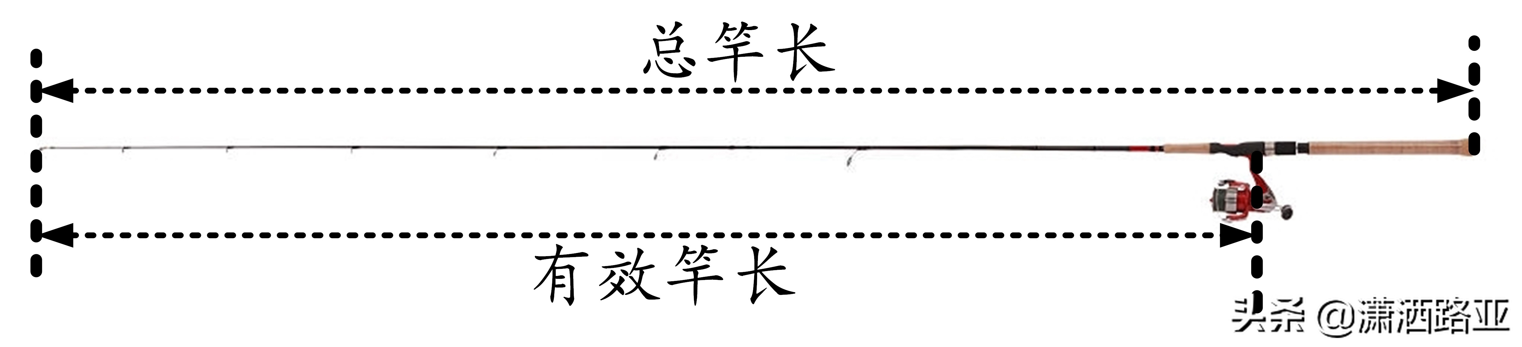 路亚钓友公认十款最好钓竿,新手入门该如何选择路亚钓竿
