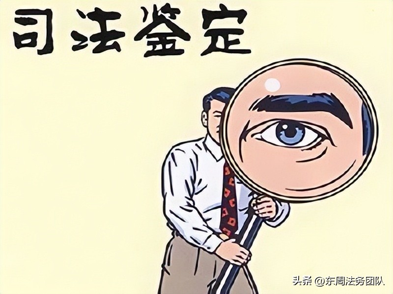 提请司法鉴定申请书的范本怎么写,司法文书鉴定申请书