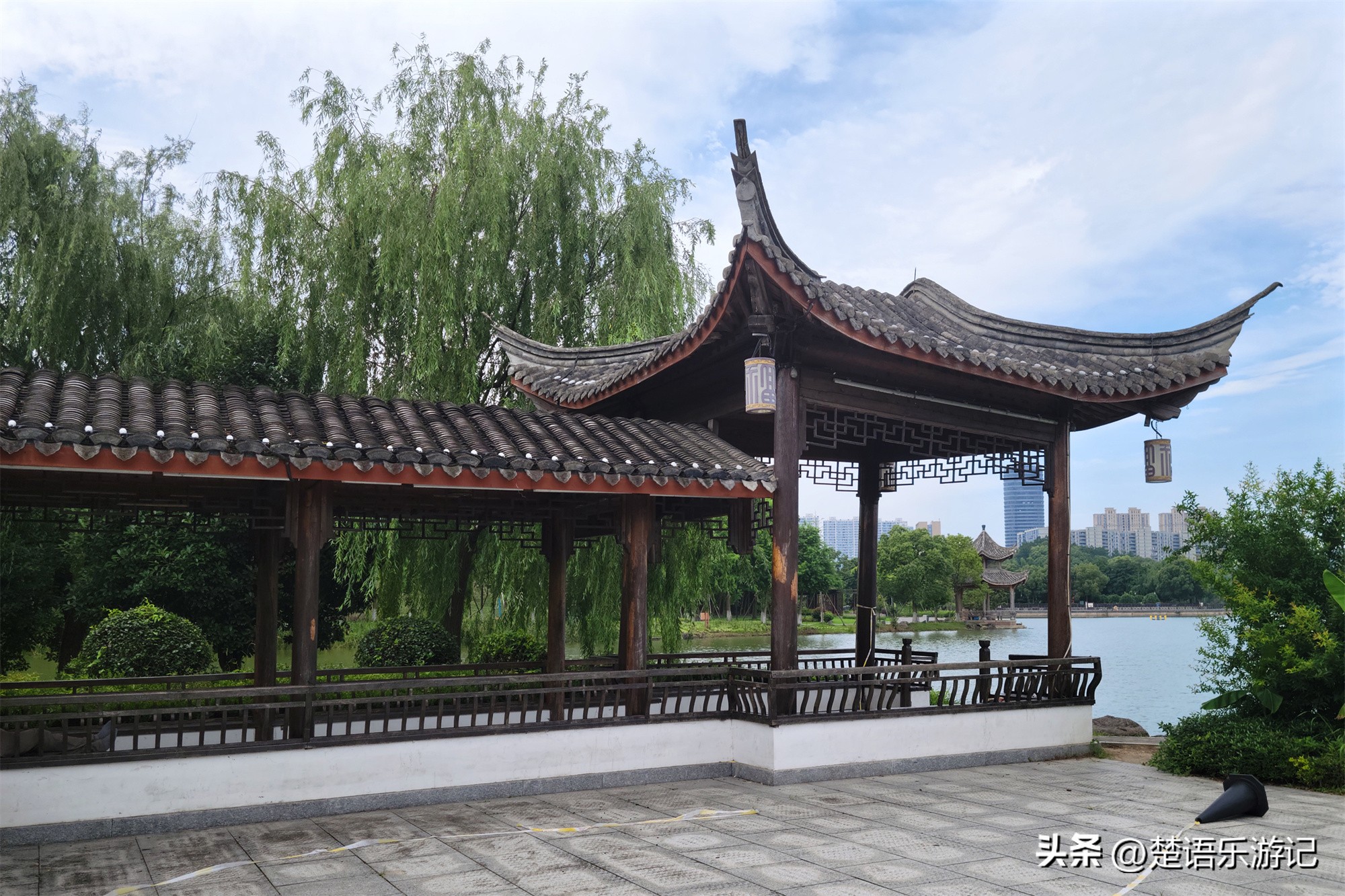 宁波附近向日葵花海在哪里,宁波向日葵花海打卡网红地