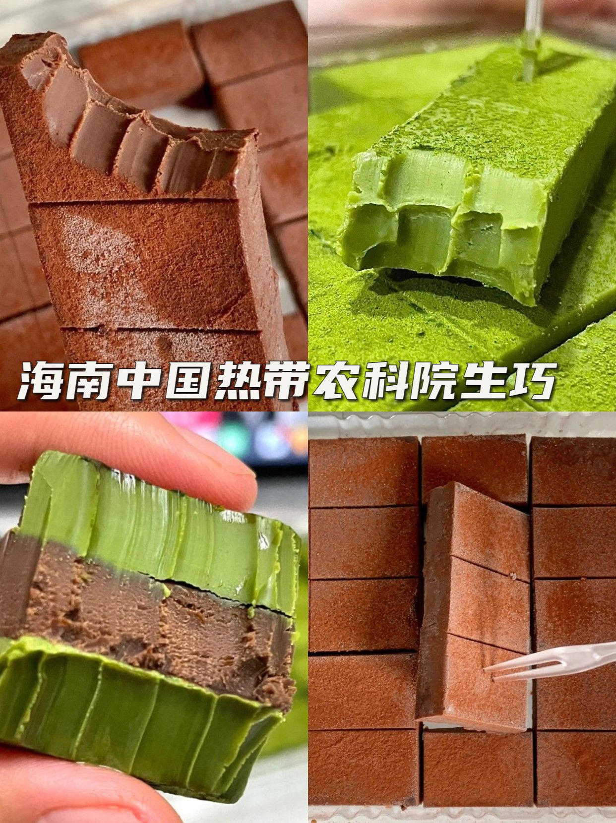 农学院食品特产大全,各大农科院食品大全