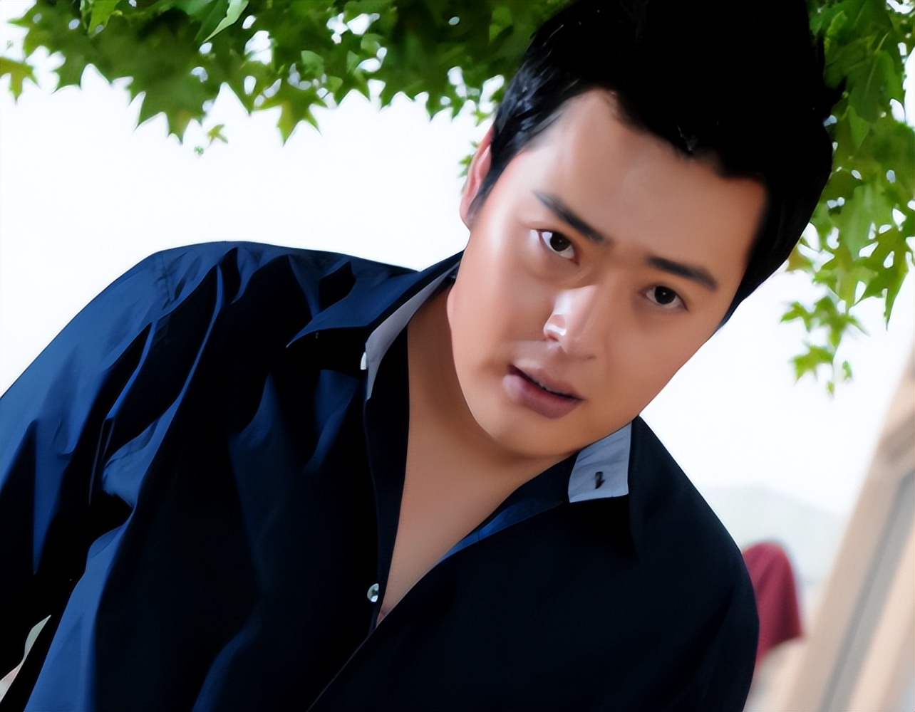 张桐华表奖,飞天奖视帝张桐的悲惨经历