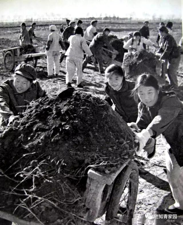 1983女知青,一个女知青的三十年坎坷经历