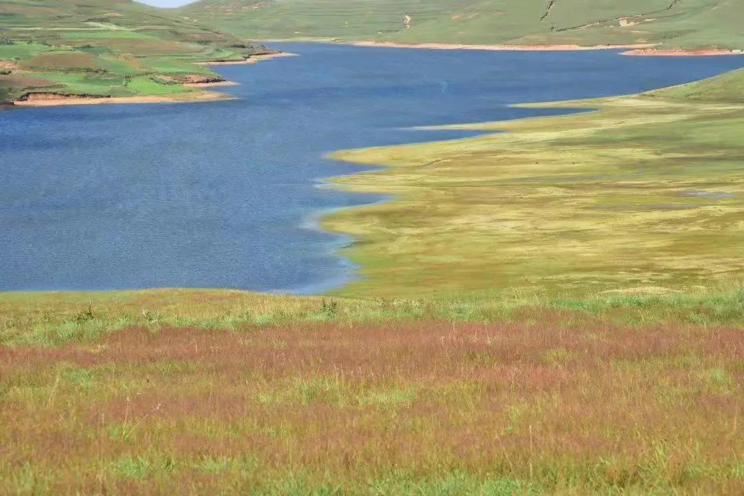 云南避暑旅游好去处推荐,云南避暑有哪些景点好玩