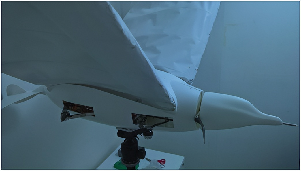 鐪熸鐨勪豢鐢熼琛屽櫒,浠跨敓缈奸琛屽櫒鏁欑▼