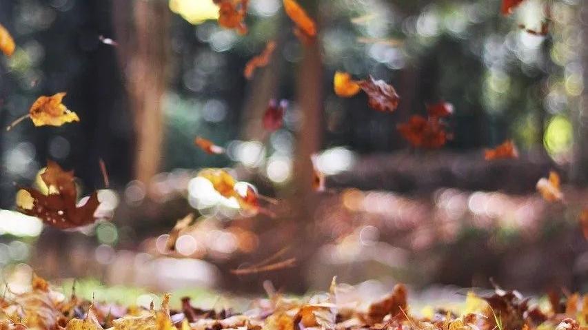 好文共分享全文,好文一起分享