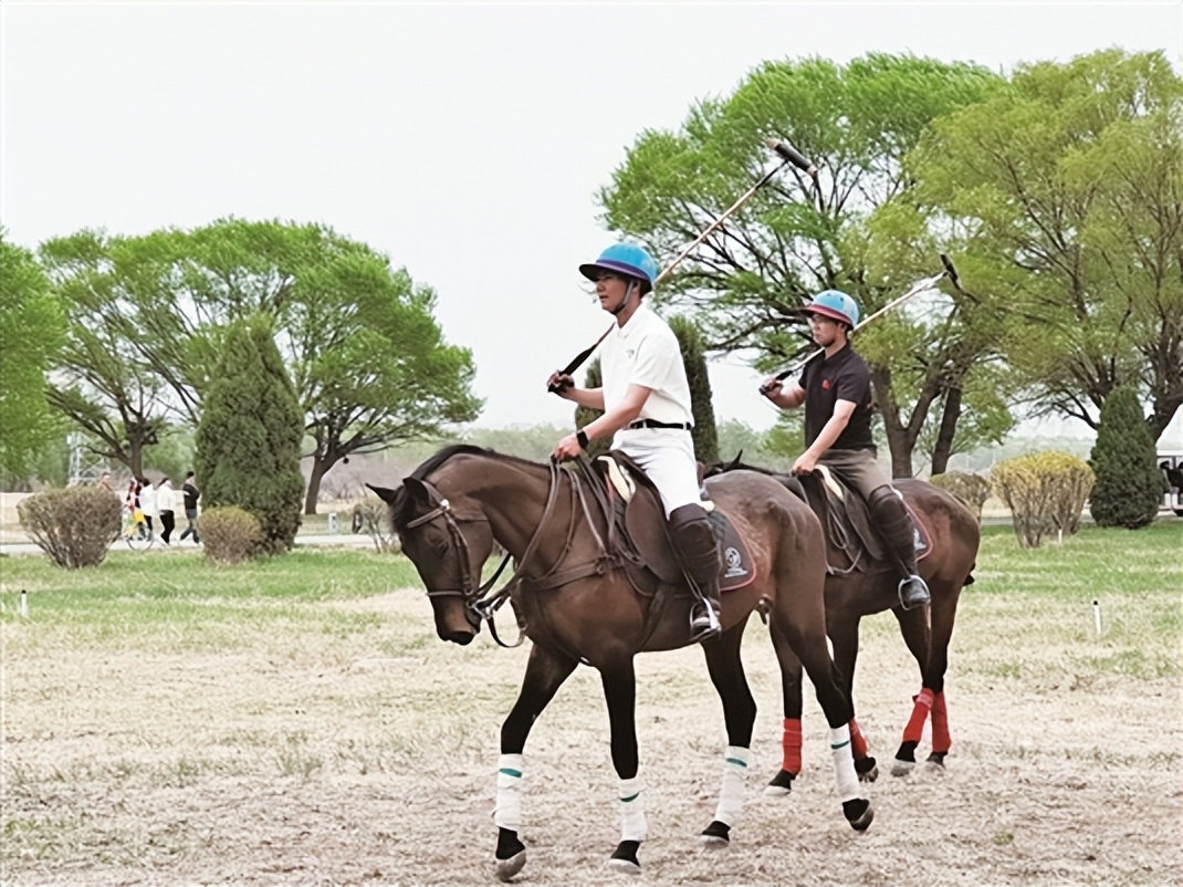 包头市赛汗塔拉旅游路线,包头赛汗塔拉有啥玩的