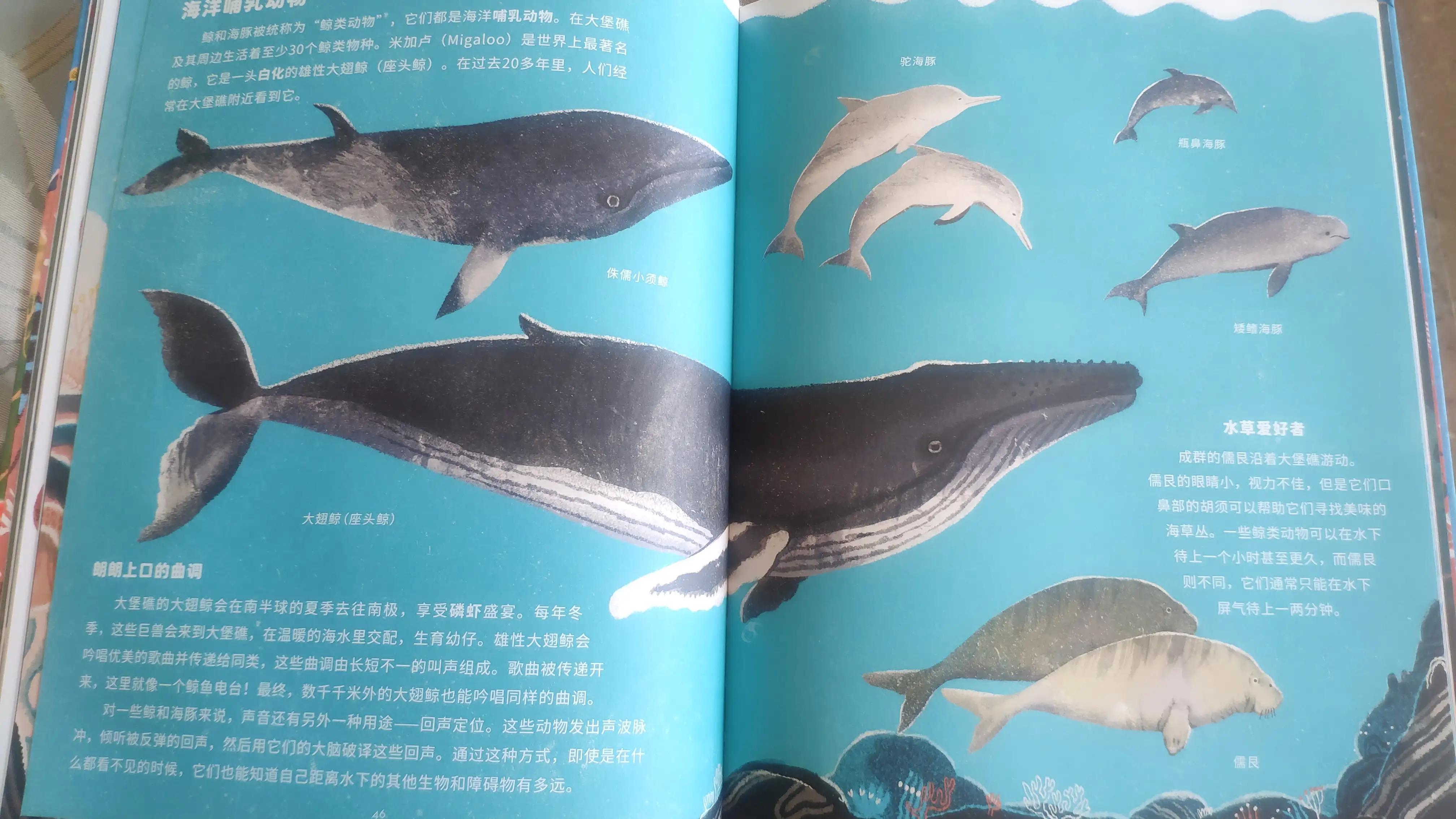 图文并茂的科普书,你不能错过的科普书