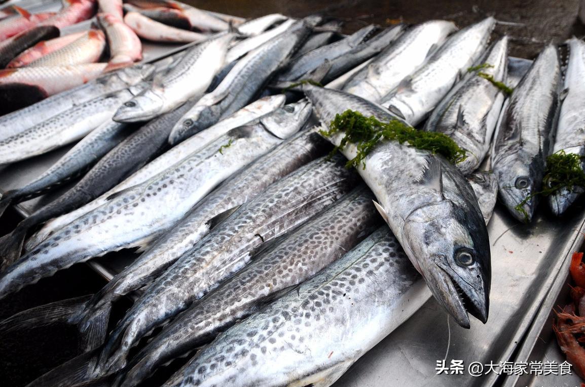 大连封海了还能吃的海鲜,大连开海吃海鲜攻略