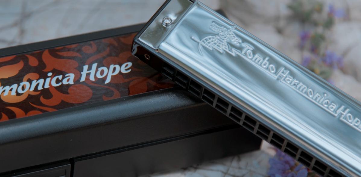 通宝口琴最新款,通宝口琴旗舰店