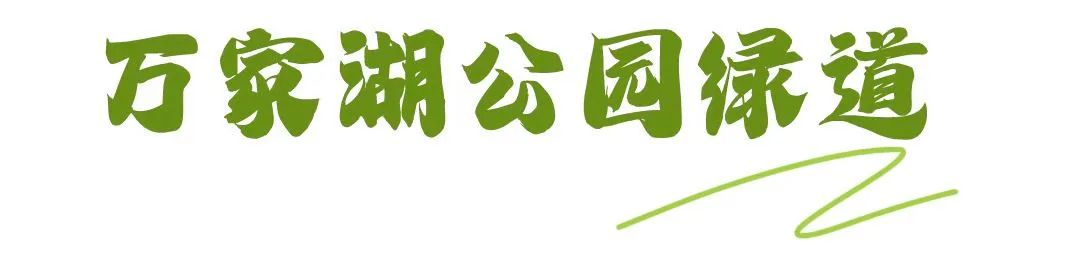 最美绿道骑行攻略,淘金山骑行绿道和东湖骑行绿道