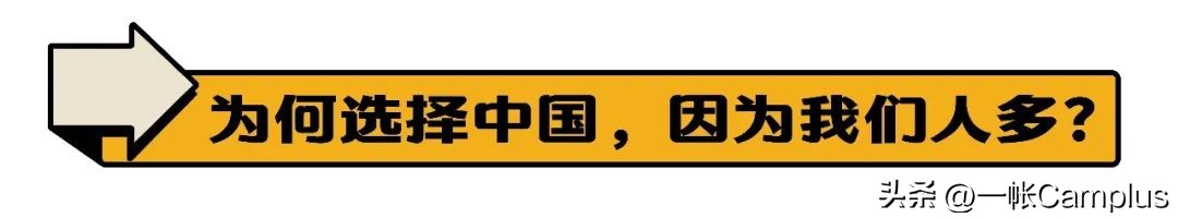 snowpeak发展史,snowpeak上海