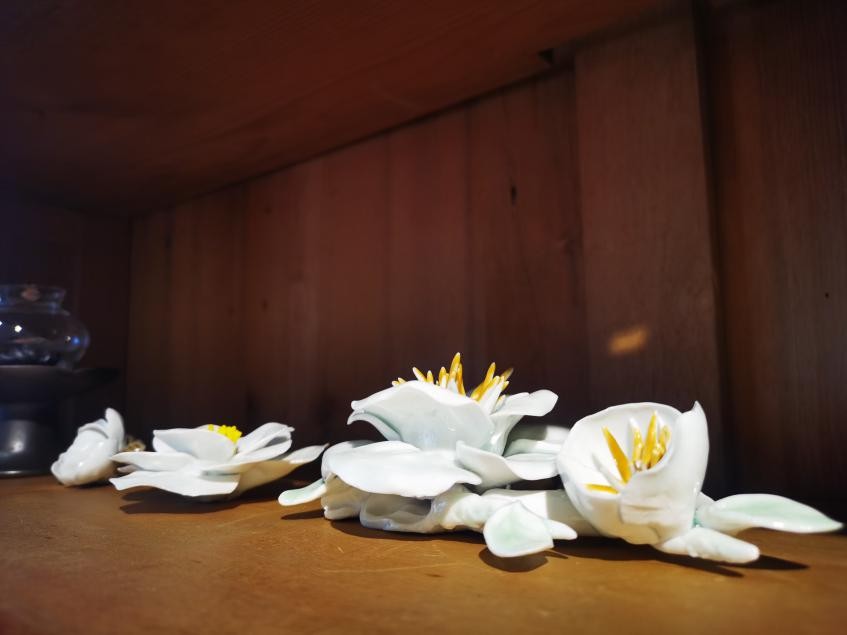 保壳上市公司现状,上市房企经营安全