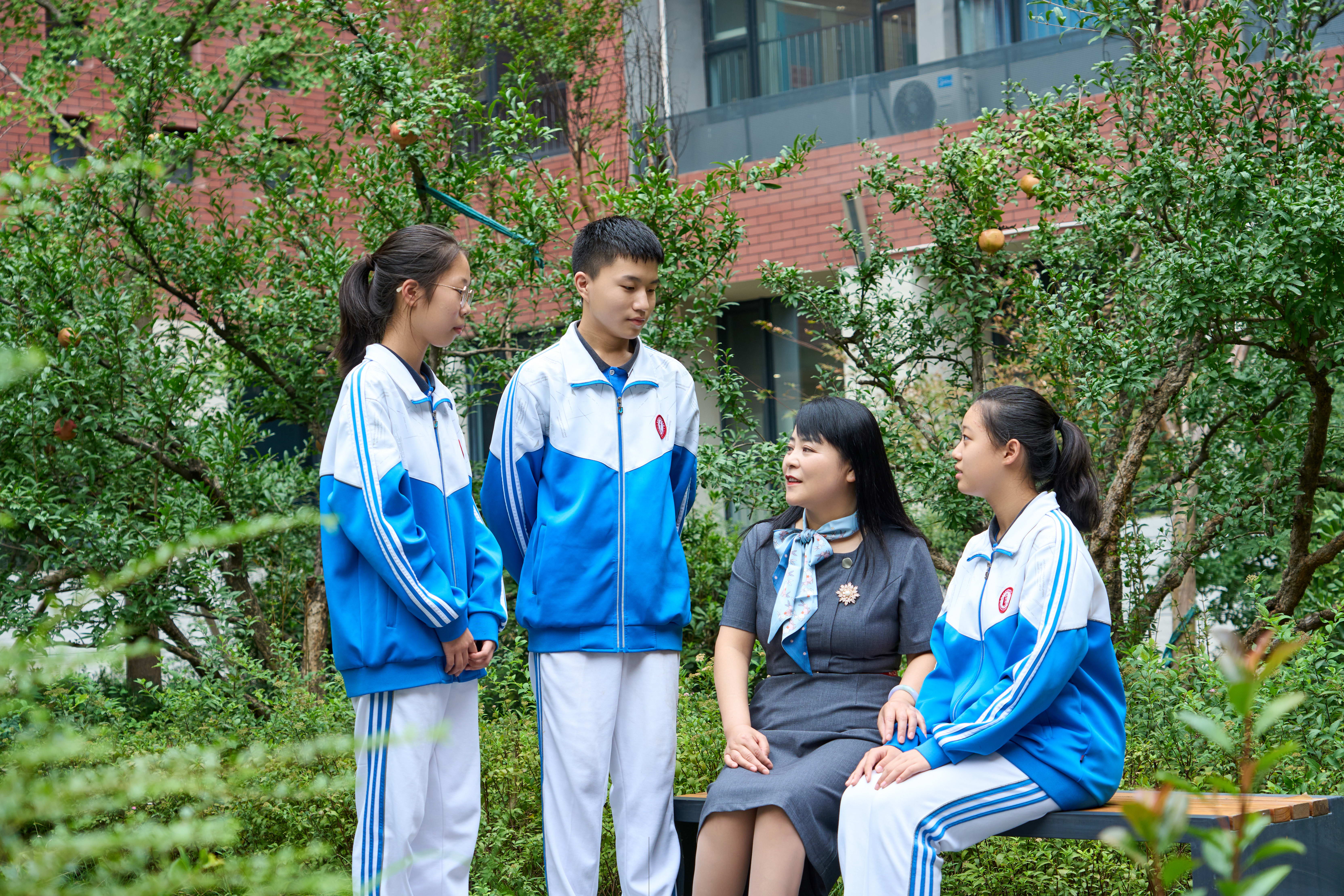 西安高新第四完全中学和第一学校,西安高新区第四完全中学