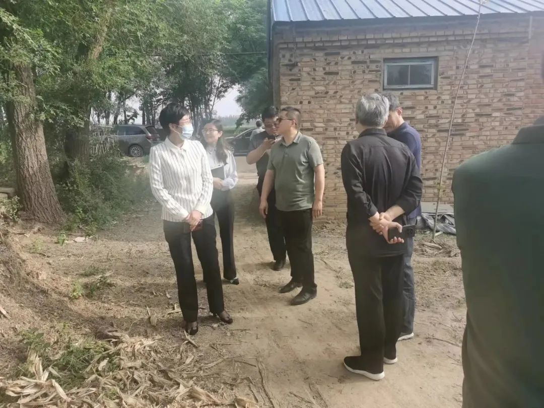 德州赵虎镇2024年规划,赵虎镇政府几点上班