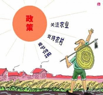 出嫁女重复享受集体成员权益,外嫁女自愿放弃家族组织成员