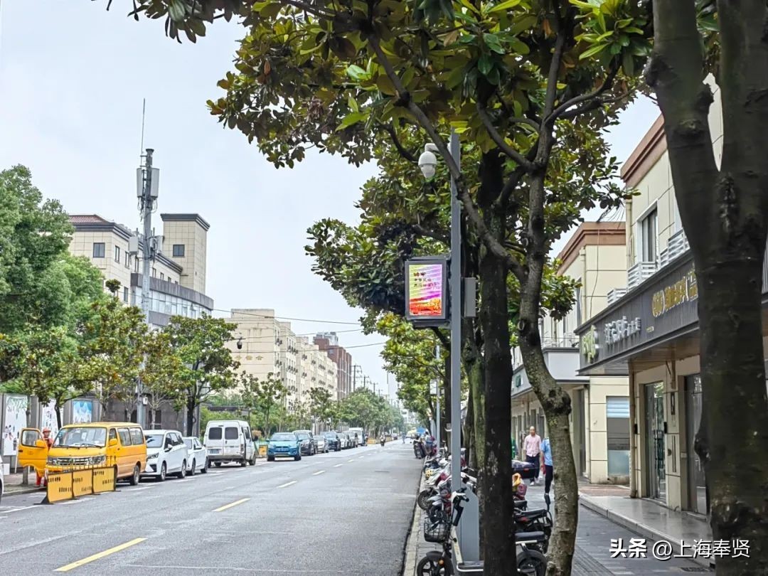 点赞！奉浦又一网红地标获得民族团结进步教育基地挂牌