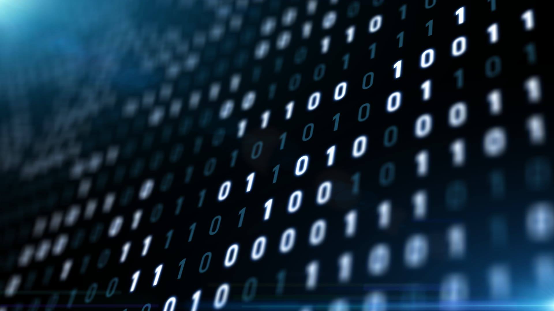 b站又崩了,b站的搜索功能用不了