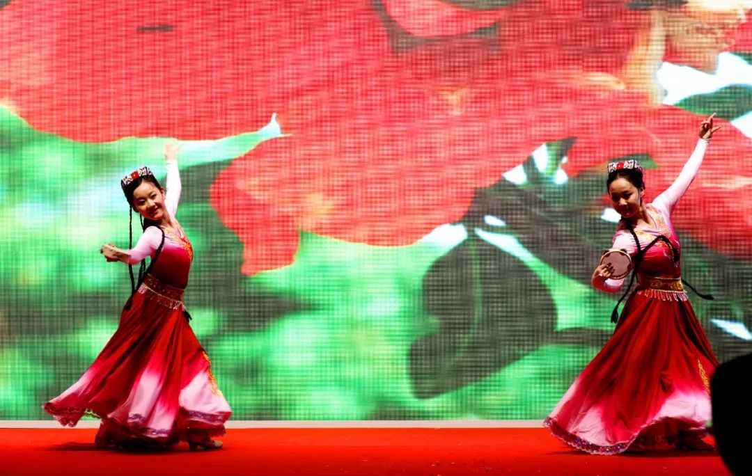 双河市招商引资项目,双河招商引资最新消息