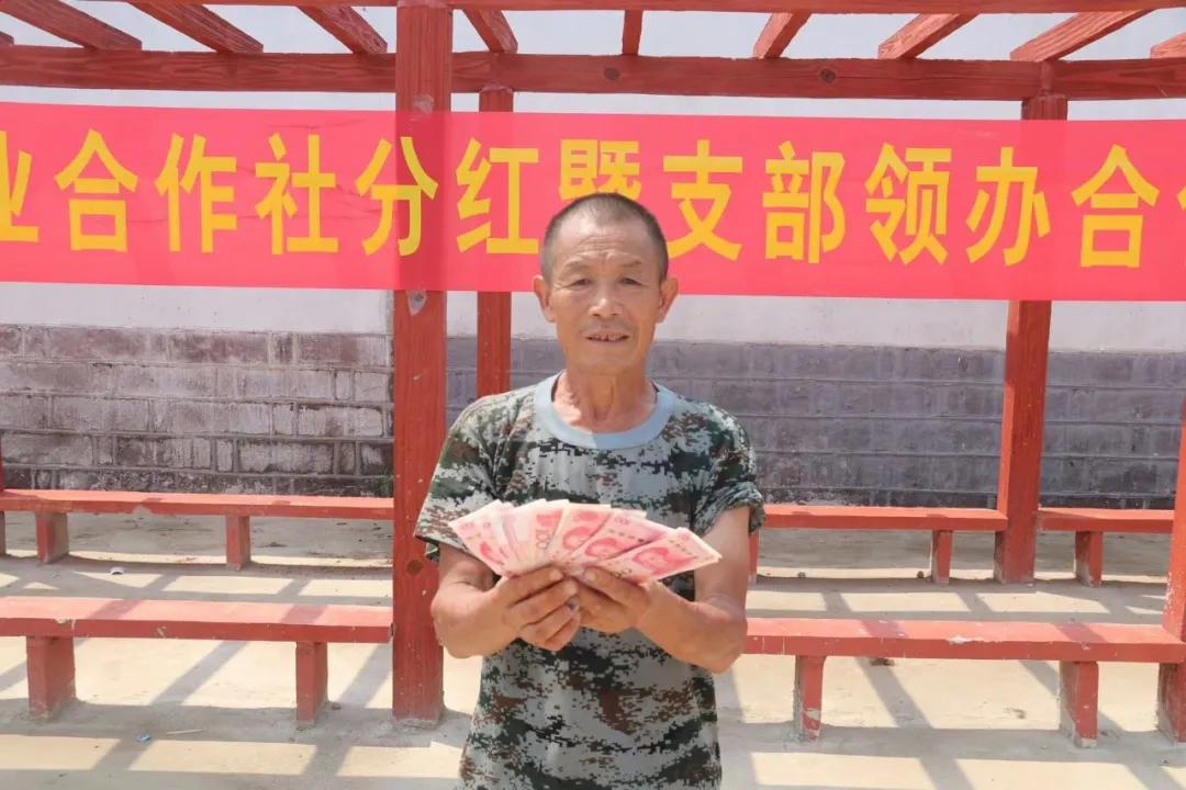 百社争流千帆竞乡土大地绘蓝图——莒南县*党**支部创办合作社专题展播（五）