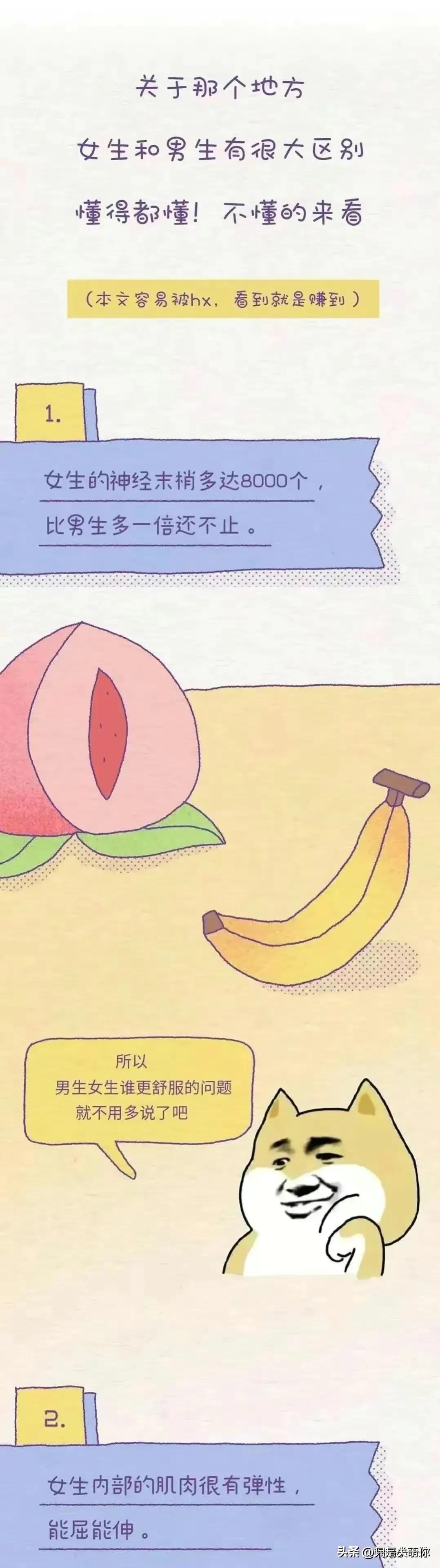 漫画里女孩子的秘密,漫画科普关于女性的12个秘密