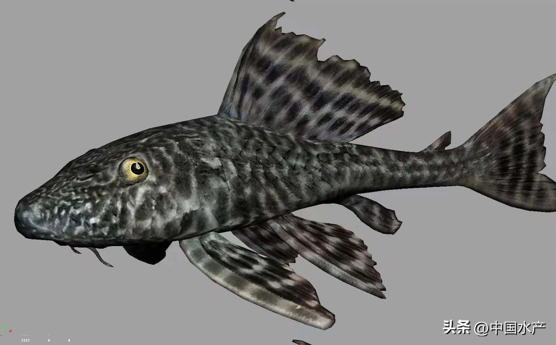 水生外来物种入侵防控工作方案,水生动物防疫