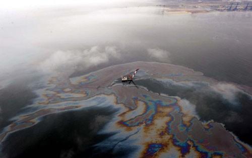石油是不是远古森林形成的,石油是怎么形成的历史故事