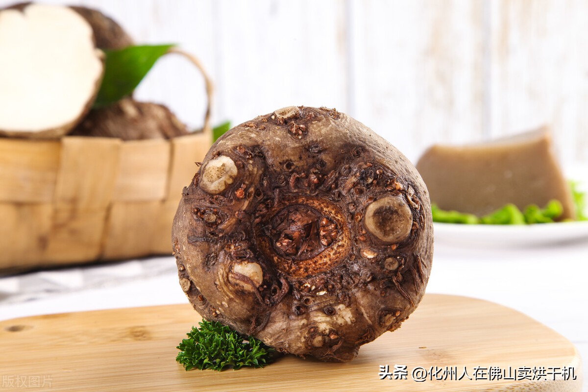 魔芋高温烘干方法视频教学,网红魔芋是什么做的