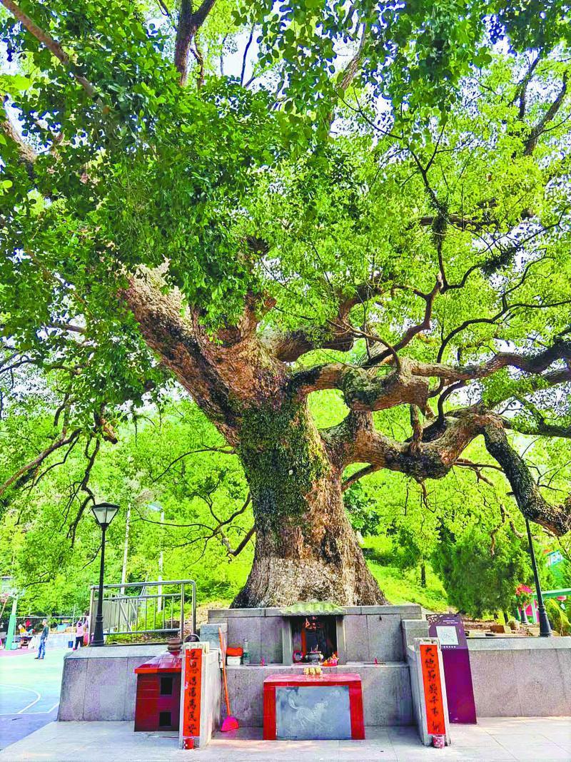 娣卞湷瑗胯础,鍏充簬鍏冪殑鏁呬簨