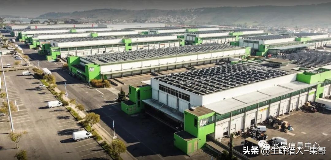 中国十大果蔬批发市场,全国十大蔬果批发市场