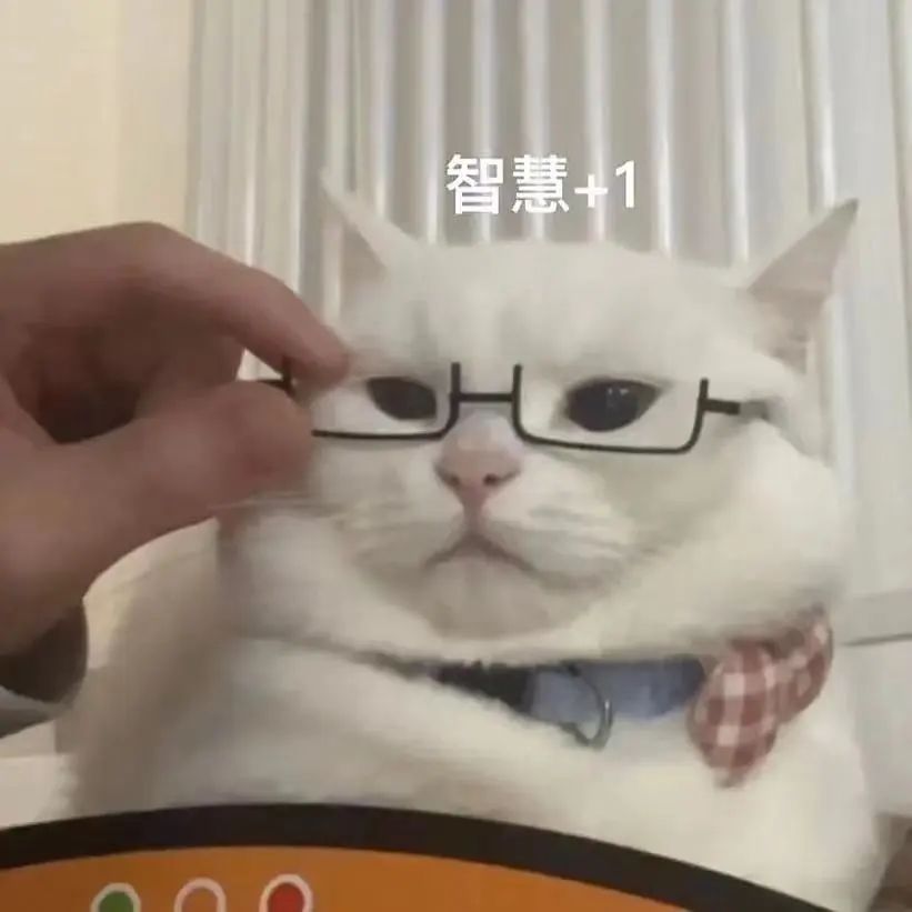 高校专项入围了怎么填志愿,填报志愿深圳高校等你来