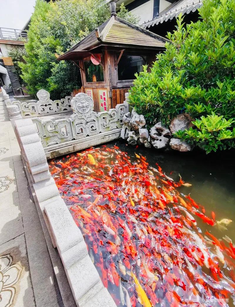 上海真如寺简介,上海真如寺方丈