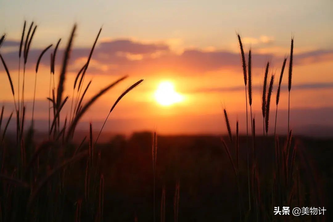 最空灵十首诗,禅意最深的一首诗